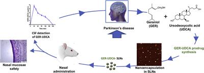 Transnasal-brain delivery of nanomedicines for neurodegenerative diseases